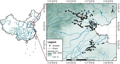 Quantitative relationship between cladocera and cyanobacteria: A study based on field survey